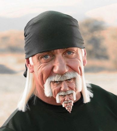 Hulk Hogan's beard growing his own face
